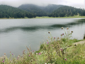 Lac de Payolle, deuxième étape de notre road trip dans les pyrénées